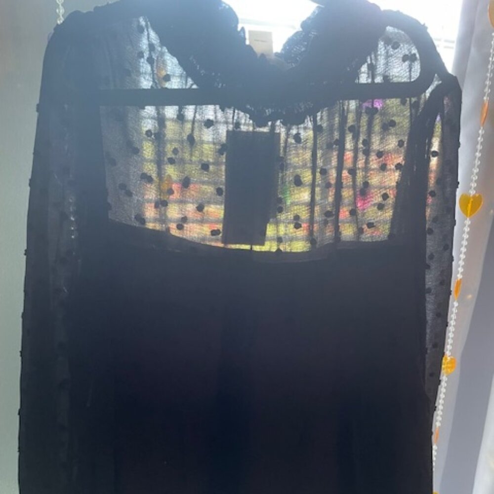 🖤 NWT Black Sheer Layered Polka Dot Blouse